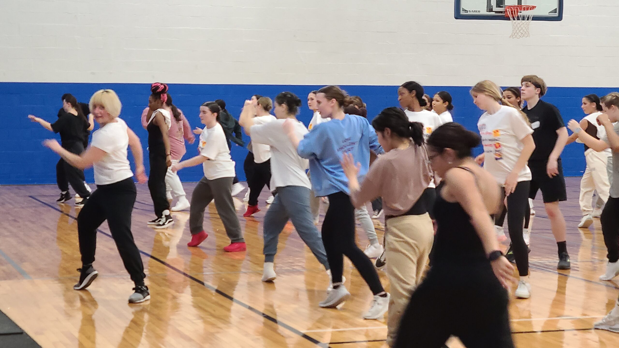 A Week of Dance Classes Across Queen Annes County - Carole Cascio Fund for  Mind Movement Dance Connections