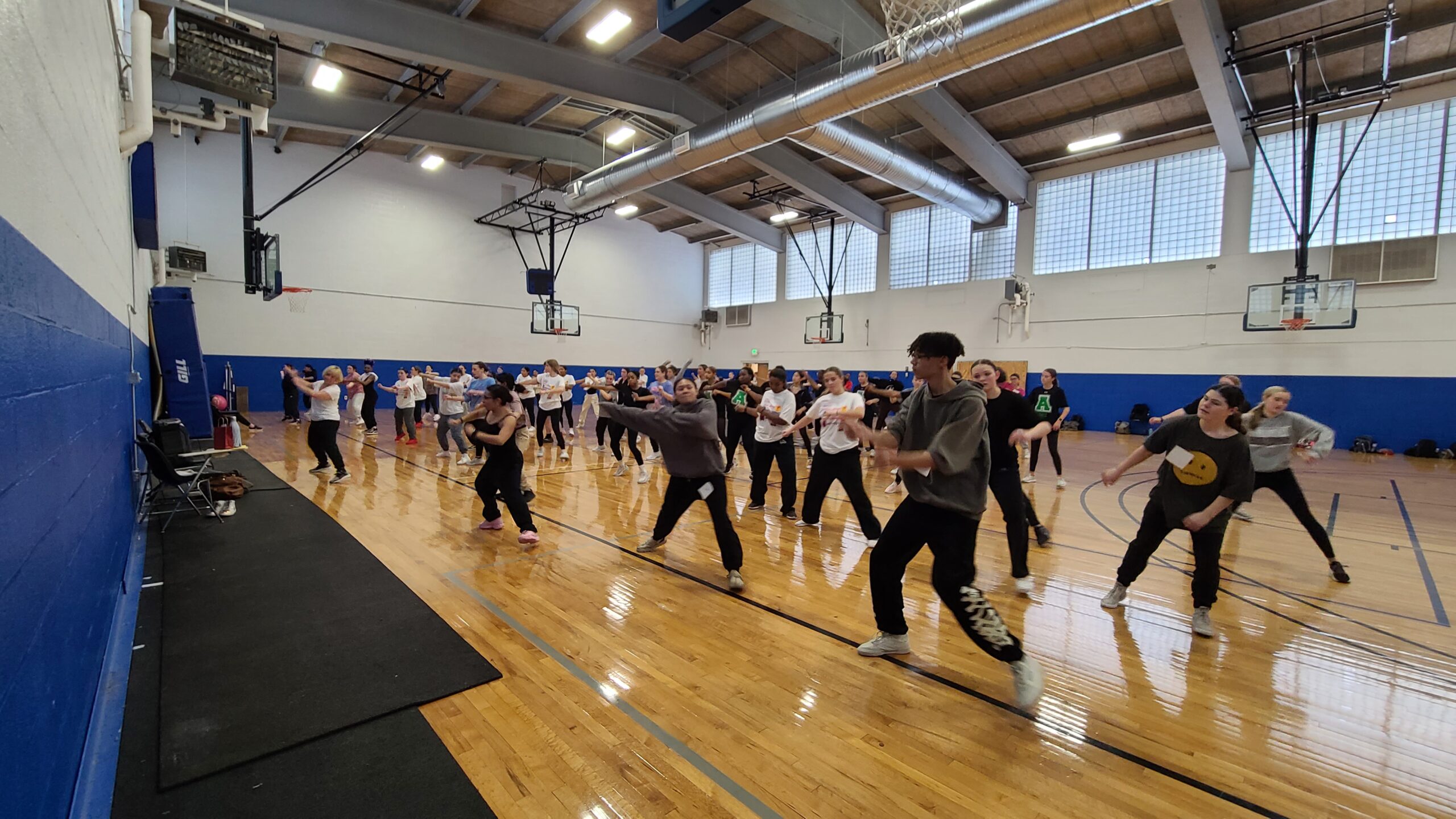 A Week of Dance Classes Across Queen Annes County - Carole Cascio Fund for  Mind Movement Dance Connections